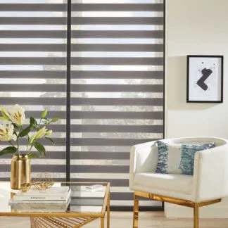 Vision Blinds